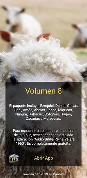 Pack8 Lectura Bíblica Screenshot 1
