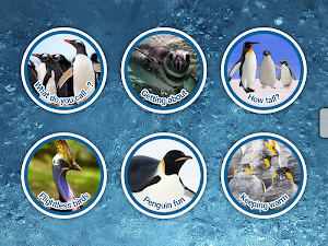 Pre-Coding Penguins - US Screenshot 1