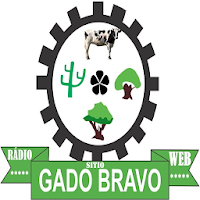 Rádio Sitio Gado Bravo de Quixelô
