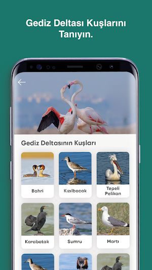 Gediz Deltası Screenshot 1