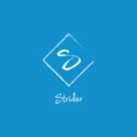 Visual Novel Strider