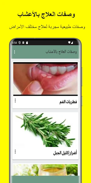 وصفات العلاج بالاعشاب بدون نت Screenshot 1