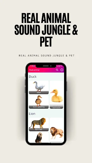 Real Animal Sound Jungle & Pet Screenshot 1