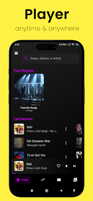 Offline Music Player Screenshot 0
