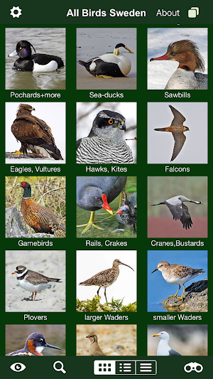 All Birds Sweden - A Sunbird Field Guide Screenshot 2