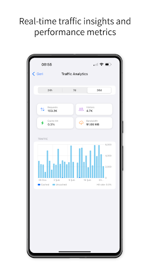 Cloudflare Manager Screenshot 3