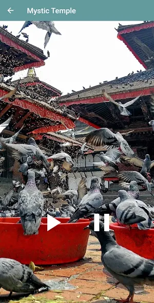 MindSpace - Meditation Music Screenshot 0