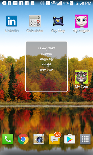 Telugu Calendar Pro Screenshot 2
