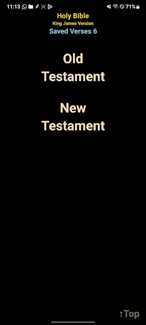 AI Holy Bible KJV Screenshot 0