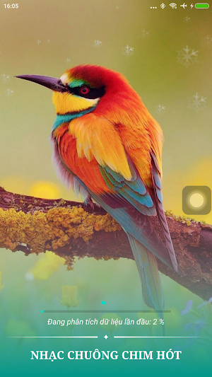 Cài Nhạc Chuông Tiếng Chim Hót Screenshot 0