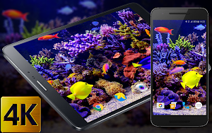 Aquarium Video Live Wallpaper Screenshot 0