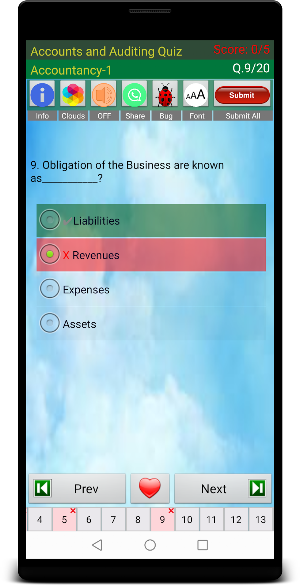 Accounts and Auditing Quiz Screenshot 3