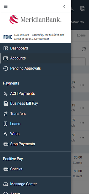 Meridian Treasury Management Screenshot 1