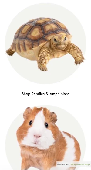 Pet Store Screenshot 3