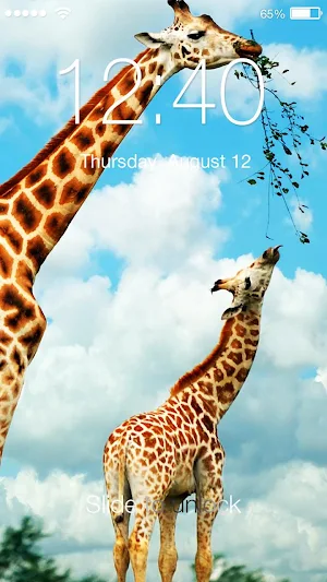 Giraffe Animal HD Lock Screenshot 0