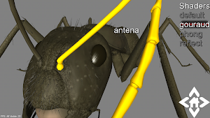 3D Ant Explorer Demo Screenshot 1