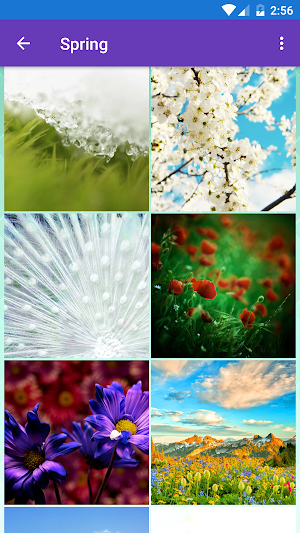 Garden, Landscape, Spring, Tree Wallpapers Screenshot 2