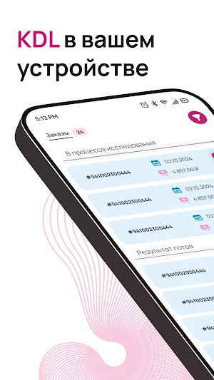 KDL Мобильные сервисы Screenshot 0