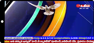 OLIEVA TV - Mobile Screenshot 2