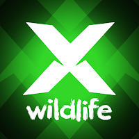 Let's Explore: Wildlife