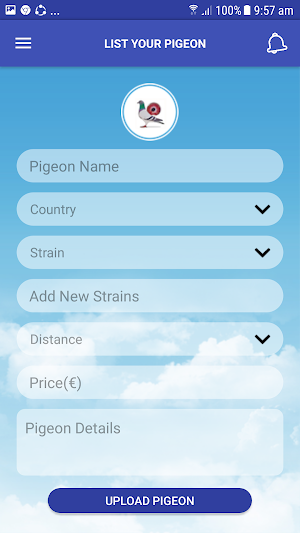 Pigeon Market Screenshot 3