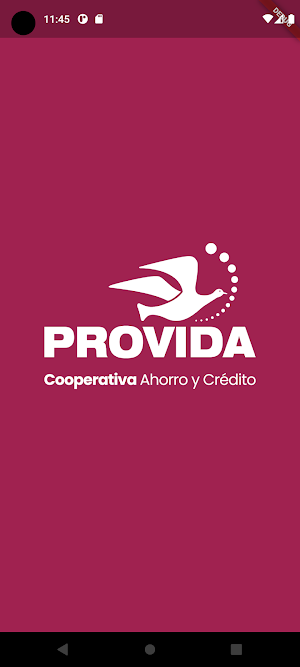 Provida en Línea Screenshot 0
