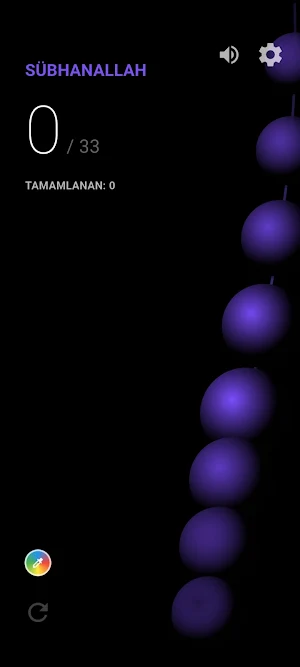Tesbih Zikir PRO Screenshot 2
