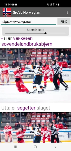 GroVo Norwegian Screenshot 3