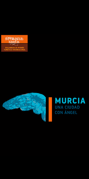 Cabildo Murcia Screenshot 2
