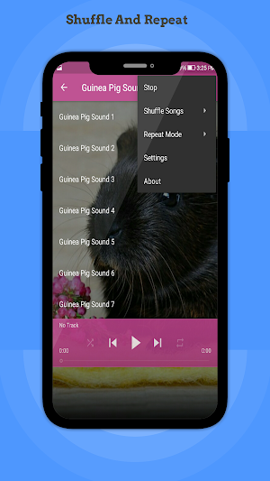 Guinea Pig Sounds Screenshot 2