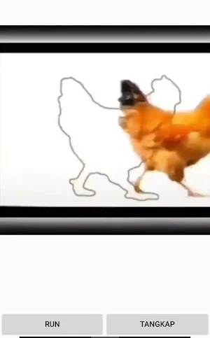 Tangkap ayam dan Sapi Screenshot 2