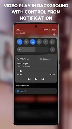 URL Player Ultimate Screenshot 2