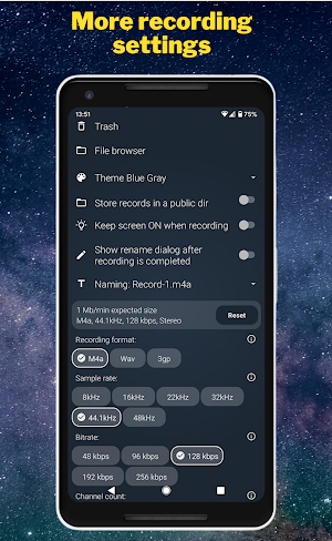 Easy Audio Recorder Screenshot 0