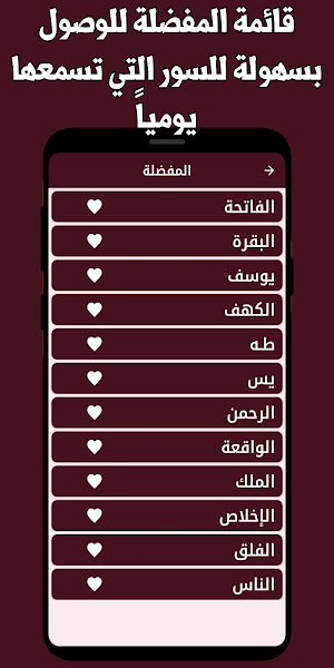 القران ابراهيم الاخضر بدون نت Screenshot 2
