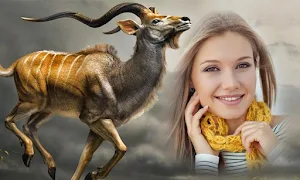 Wild Animal Photo Frames Screenshot 1