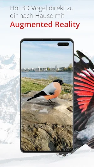 Vogelführer Birdlife Schweiz Screenshot 3