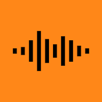 Success Journal - Your daily voice journal