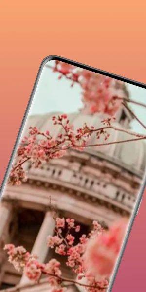 flowers wallpaper HD Screenshot 0