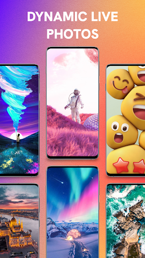 Wallpaper Resource Screenshot 3