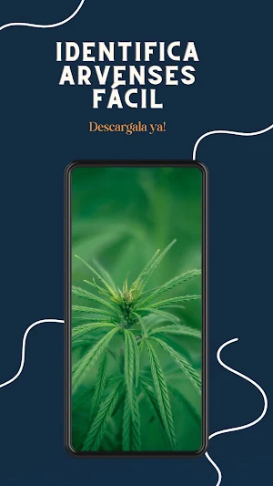 Identifica Arvenses Fácil Screenshot 0