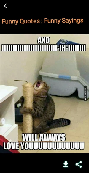 Funny Quotes : Funny Sayings Screenshot 3