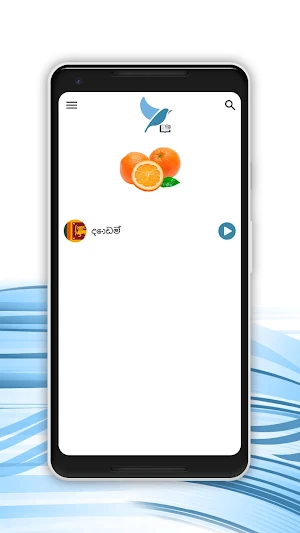 Urdu - Sinhala Dictionary Screenshot 1