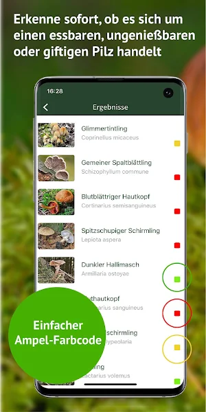 PilzSnap - Pilze sammeln! Screenshot 3