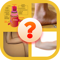 Body Parts Quiz