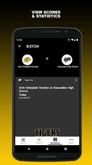 Tiger Teams Screenshot 2