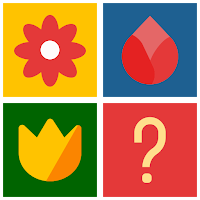 Memory Match - Memory Games