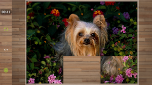 Dog Puzzle Games Free Screenshot 3