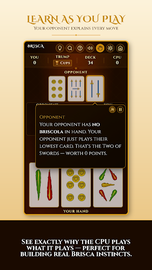 Brisca: Learn & Play Screenshot 2
