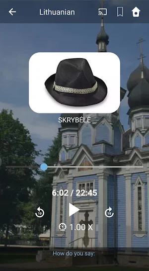 Learn Lithuanian. Speak Lithuanian. Screenshot 2