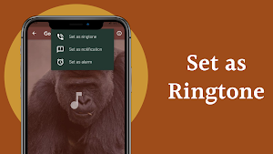 Gorilla Sounds Screenshot 3